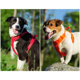 Truelove Pet Harness Nylon Reflective Comfortable and Breathable Big Medium Dog Vest Explosion-proof Outdoor Camping HP5652