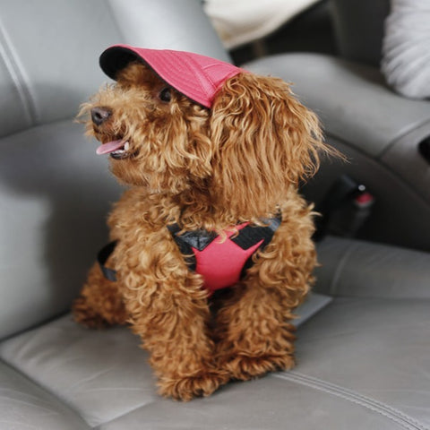 Dogs Sun Hat  Pet Casual Cotton Baseball Cap